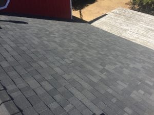 Carson City roofing panaca a