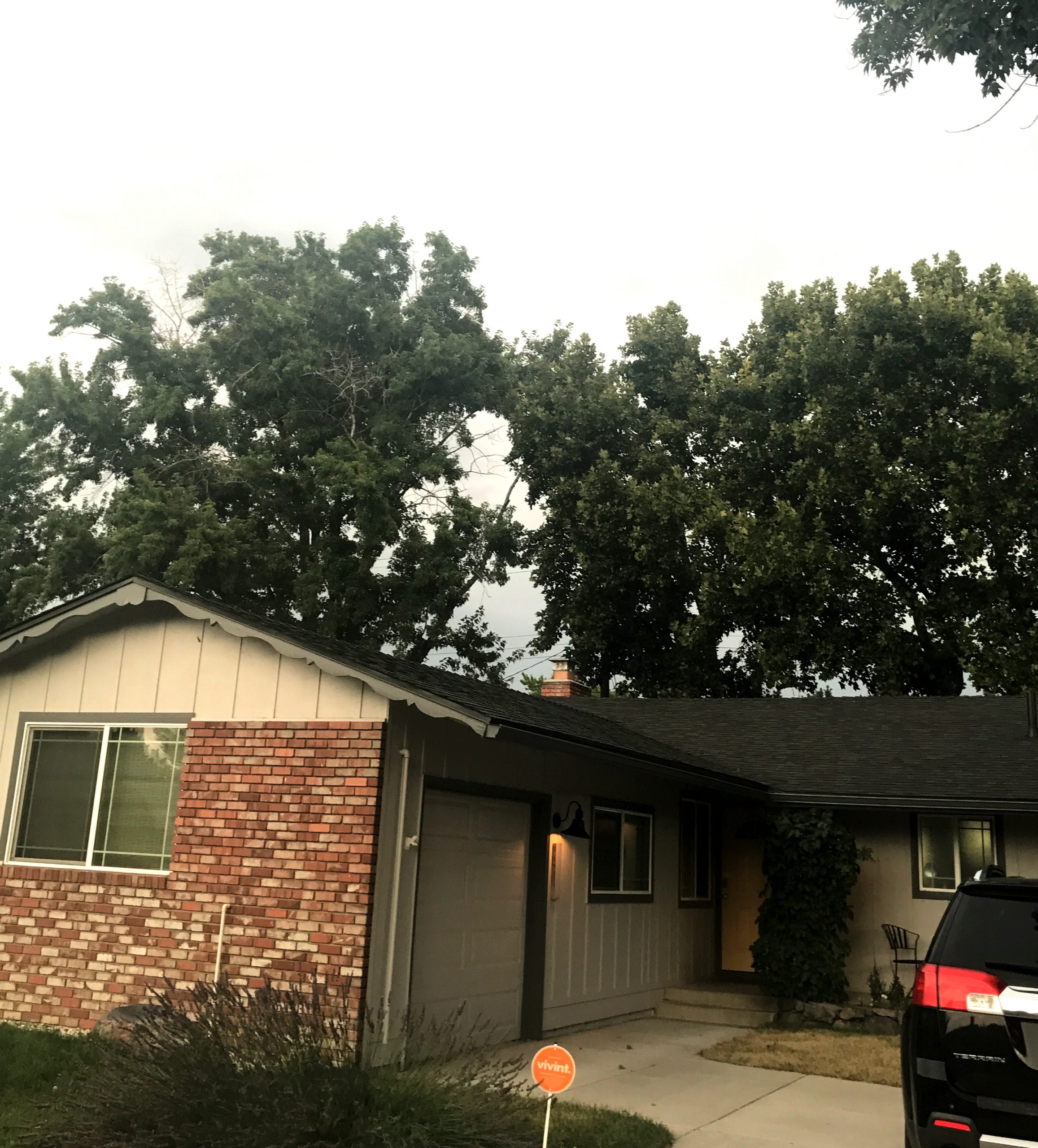 Roof Replacement: 2390 Riviera Street