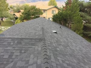 Carson City roofing Pullman a